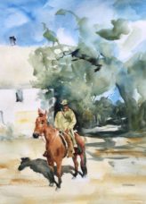 rider website